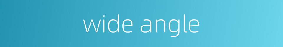 wide angle的同义词