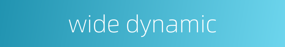 wide dynamic的同义词