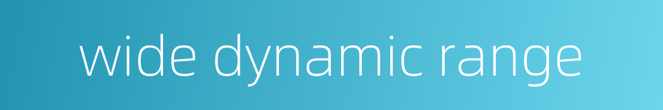 wide dynamic range的同义词