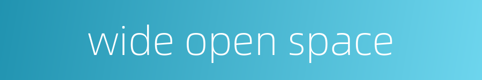 wide open space的同义词