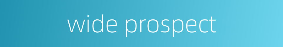 wide prospect的同义词