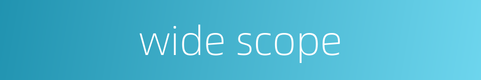 wide scope的同义词