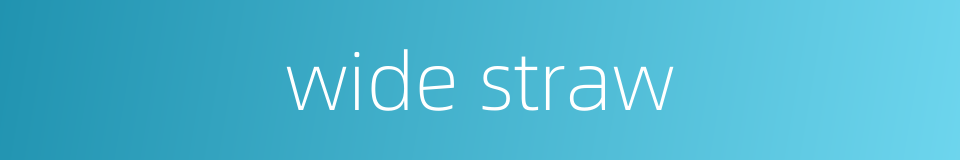 wide straw的同义词