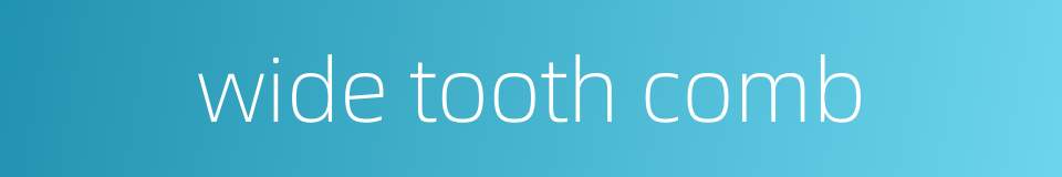 wide tooth comb的同义词