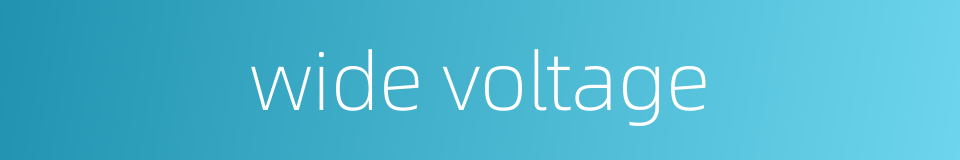 wide voltage的同义词