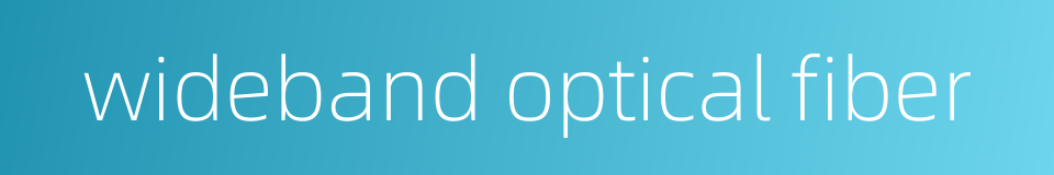 wideband optical fiber的同义词