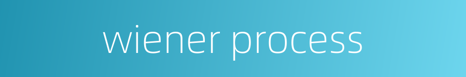 wiener process的同义词