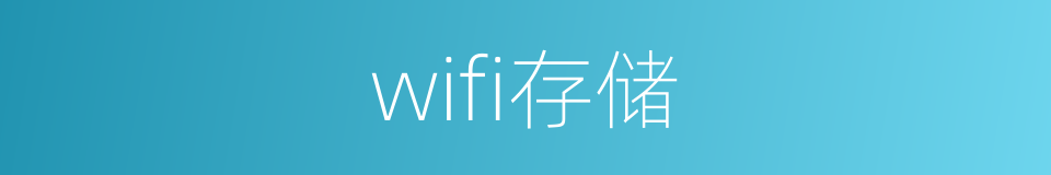 wifi存储的同义词