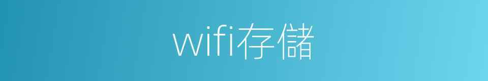 wifi存儲的同義詞