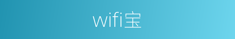 wifi宝的同义词