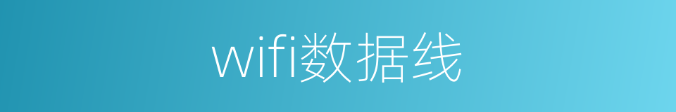 wifi数据线的同义词