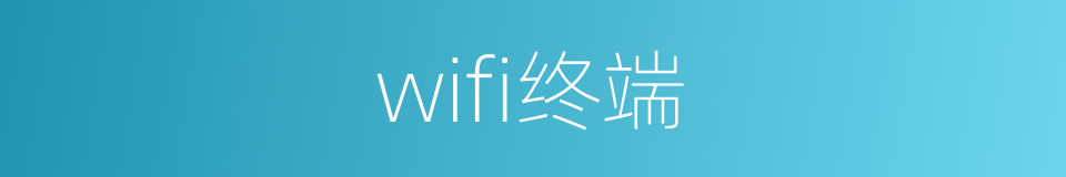 wifi终端的同义词