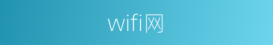 wifi网的同义词