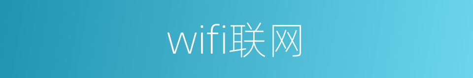 wifi联网的同义词