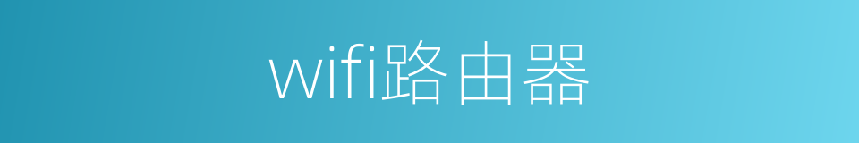 wifi路由器的同义词