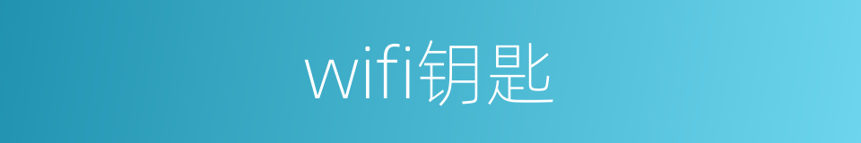 wifi钥匙的同义词