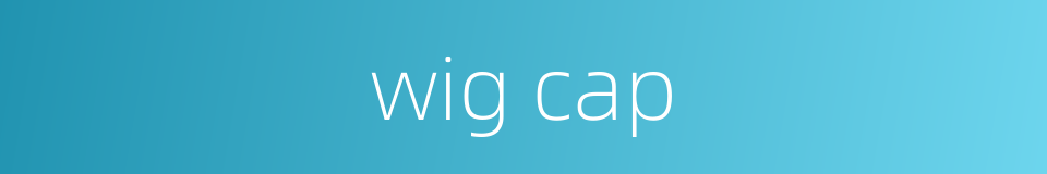 wig cap的同义词