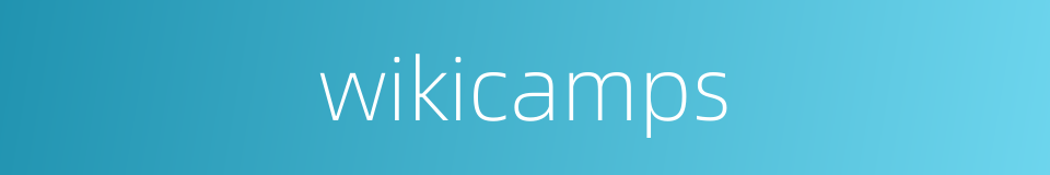 wikicamps的同义词