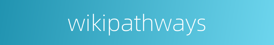 wikipathways的同义词