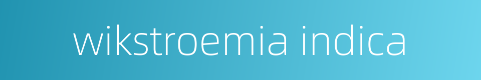 wikstroemia indica的同义词