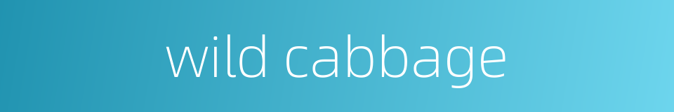 wild cabbage的同义词