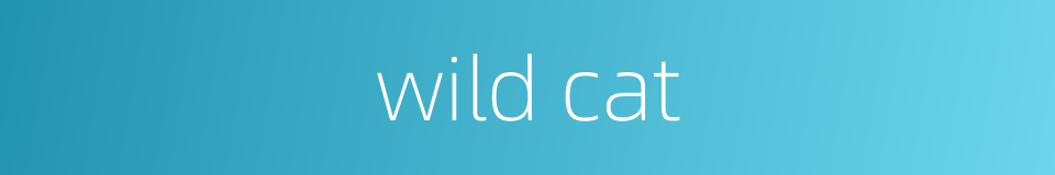 wild cat的同义词