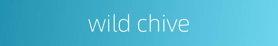 wild chive的同义词