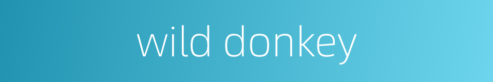 wild donkey的同义词