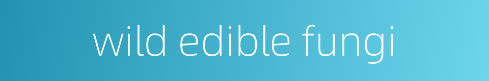 wild edible fungi的同义词