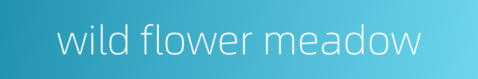 wild flower meadow的同义词