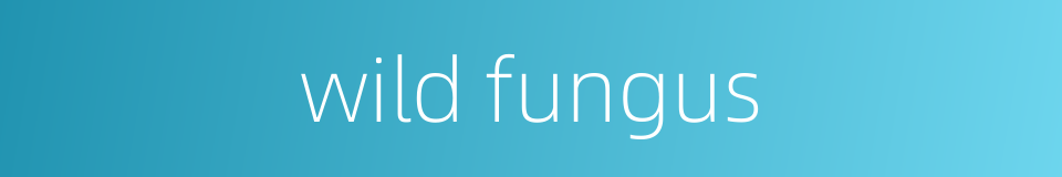 wild fungus的同义词