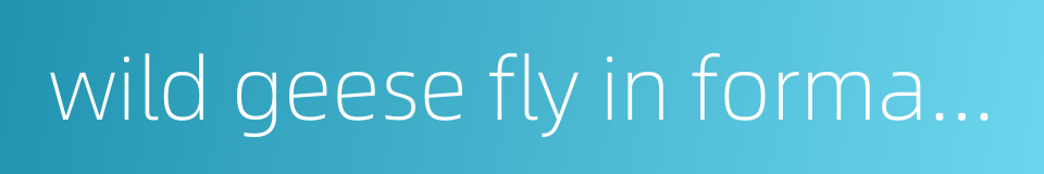 wild geese fly in formation的同义词