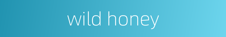 wild honey的同义词