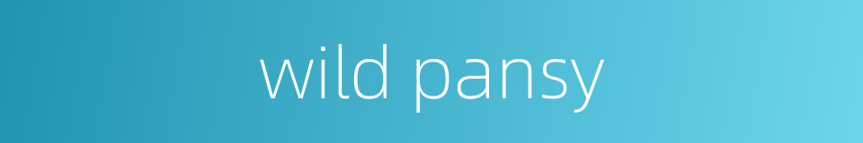 wild pansy的同义词