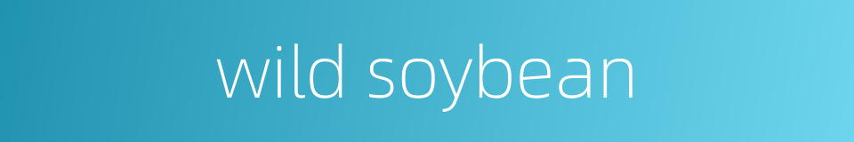 wild soybean的同义词