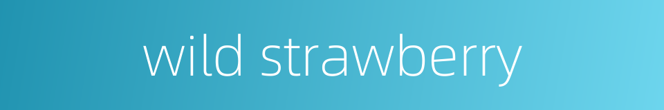 wild strawberry的同义词