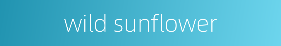 wild sunflower的同义词