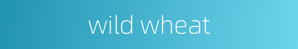 wild wheat的同义词
