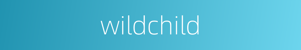 wildchild的同义词