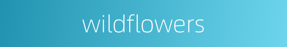 wildflowers的同义词