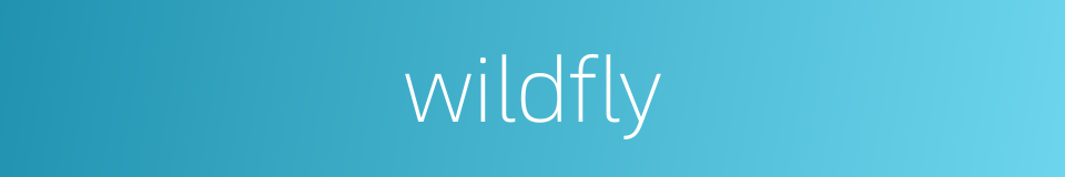 wildfly的同义词