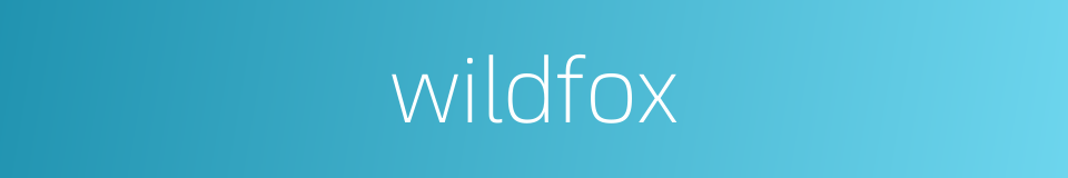 wildfox的同义词