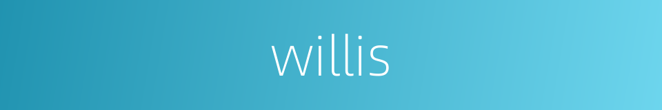 willis的同义词
