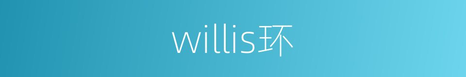 willis环的同义词
