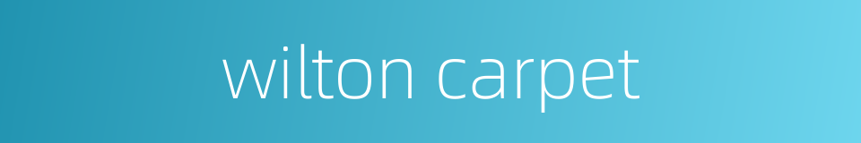 wilton carpet的同义词