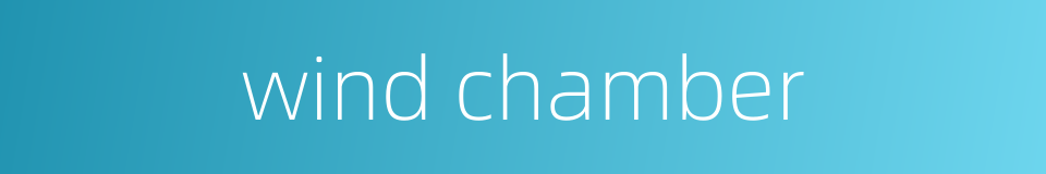 wind chamber的同义词