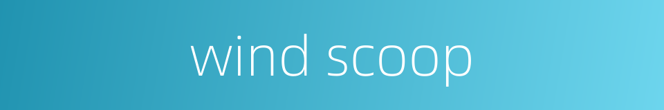 wind scoop的同义词