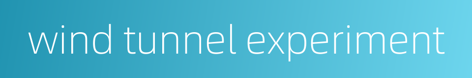 wind tunnel experiment的同义词