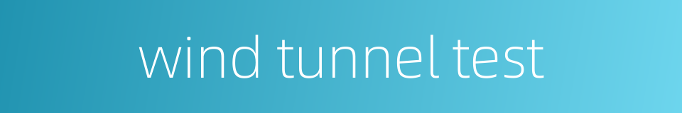 wind tunnel test的同义词