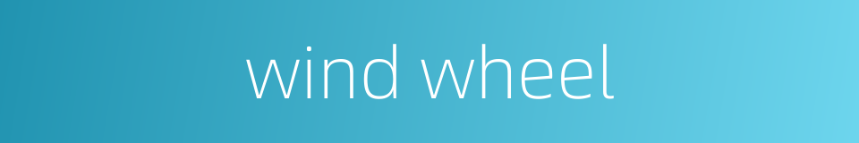 wind wheel的同义词